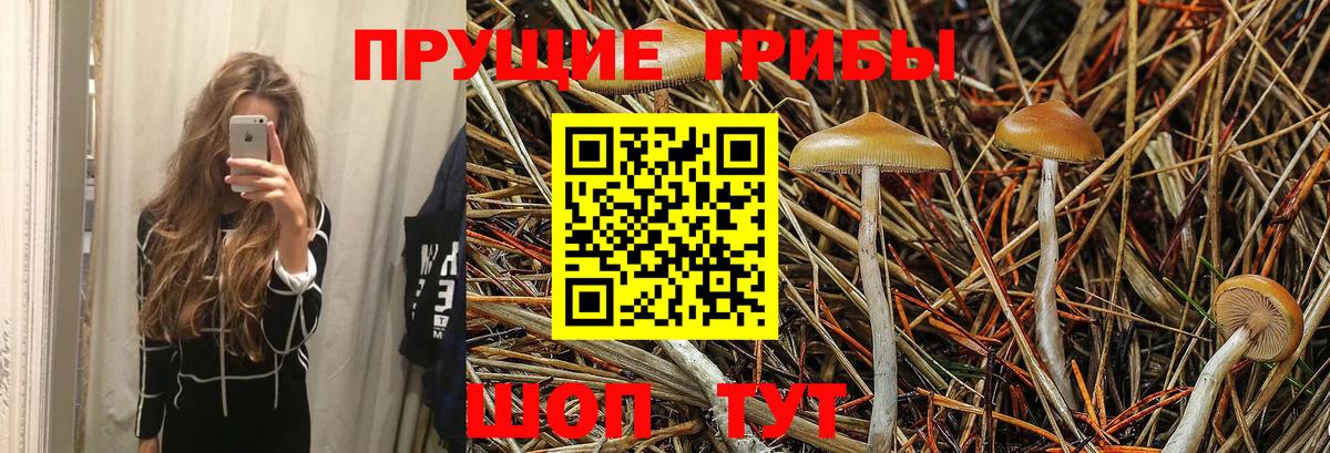 Галлюциногенные грибы Magic Shrooms  цены   Нефтекамск  Вход с VPN 